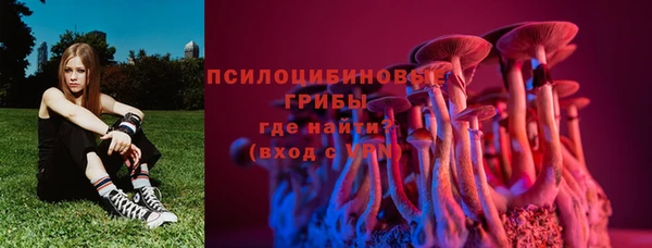 гашик Дмитровск