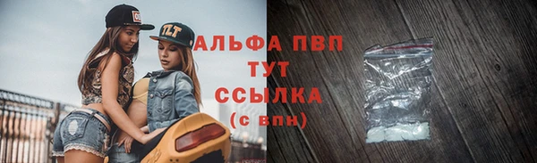 гашик Дмитровск