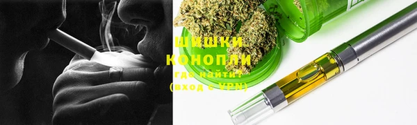 гашик Дмитровск
