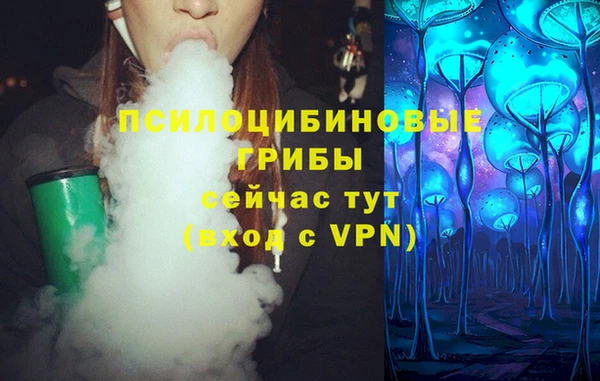 MDMA Дмитриев