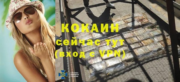 дмт Дмитров
