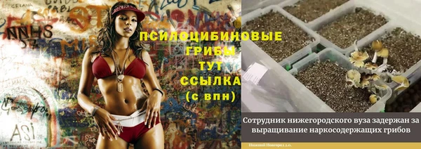 MDMA Дмитриев