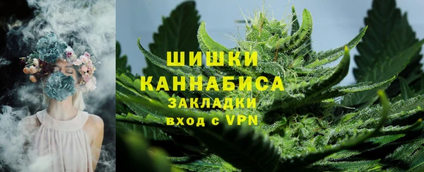 гашик Дмитровск