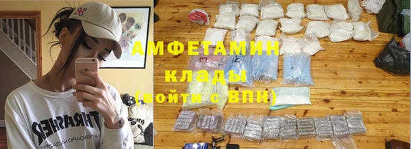 гашик Дмитровск