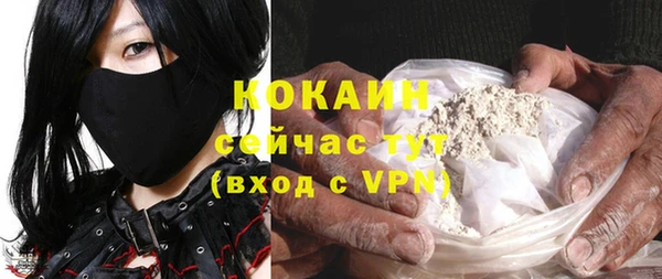 гашик Дмитровск
