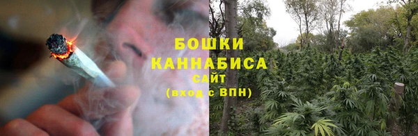 гашик Дмитровск