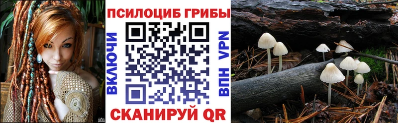 Псилоцибиновые грибы ЛСД  Купить закладки  Зверево 